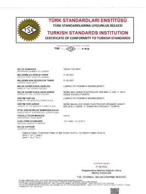 TSE Certificate of Conformity 13484